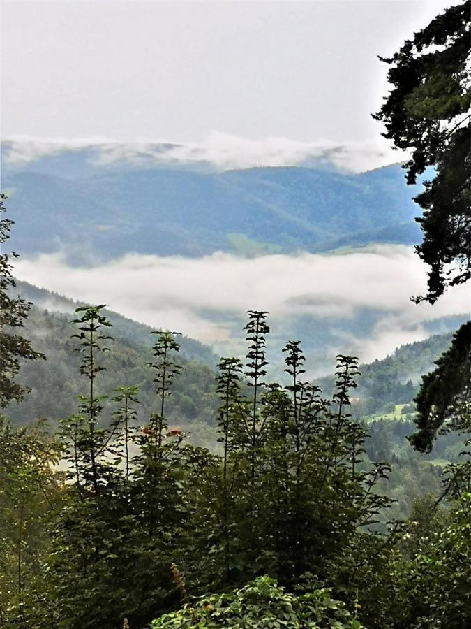 Chata Z Bali -Domek W Gorach ,,Filipkowy Raj"- Limanowa Nowy Sacz Beskidy Krakow Villa Rozdziele Buitenkant foto